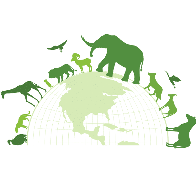 green - Supporting world animal wildlife – a diverse ecosystem in harmony